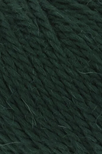 CARPE DIEM DUNKELGRÜN