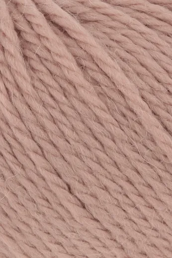 CARPE DIEM PUDERROSA