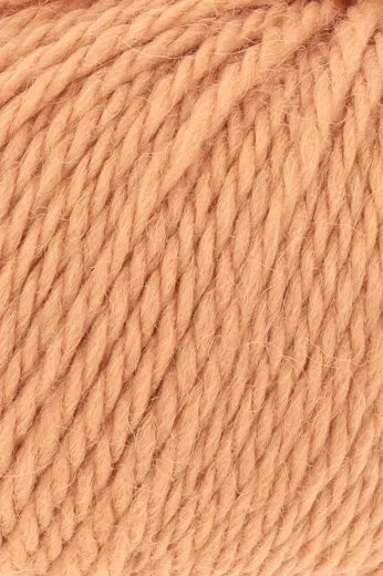 CARPE DIEM TANGERINE