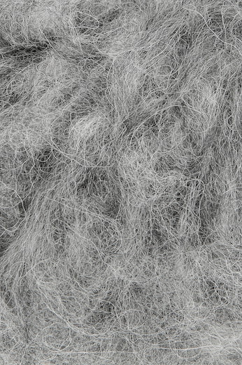 SHIRLEY GRAU
